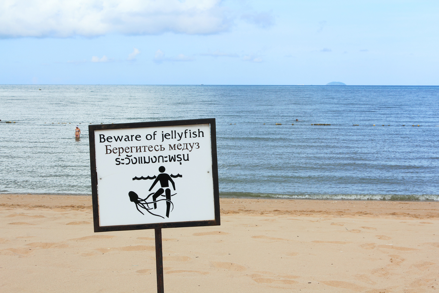 Beware of jellyfish