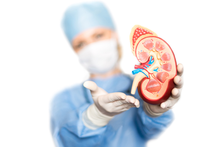 Contraindications of Kidney Transplant
