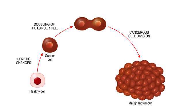 How-cancer-cells-grow-010a54f9-0a3d-4e40-9d70-e3c4c9cfe37c.jpg