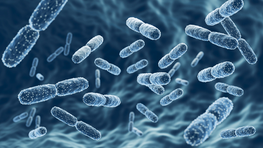 Children’s Gut Health