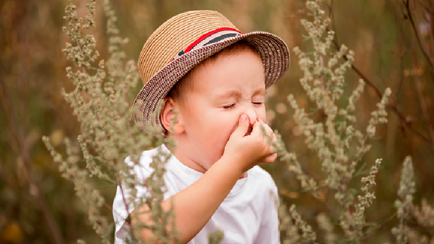 Seasonal Allergies