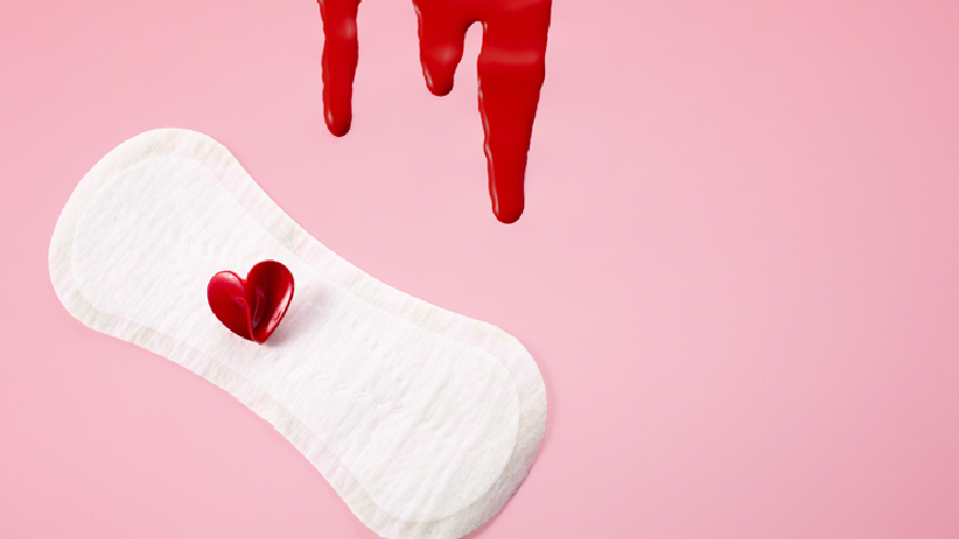 Hormones & the Menstrual Cycle