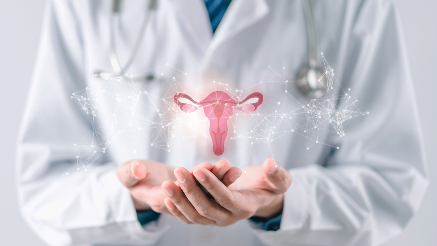 Vagina