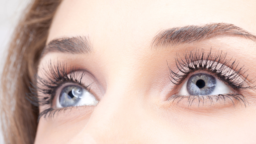Contacts 