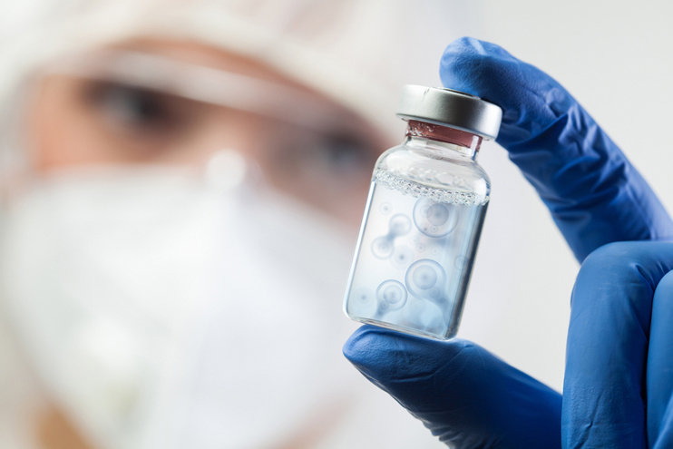 Stem Cells and Immune Therapy