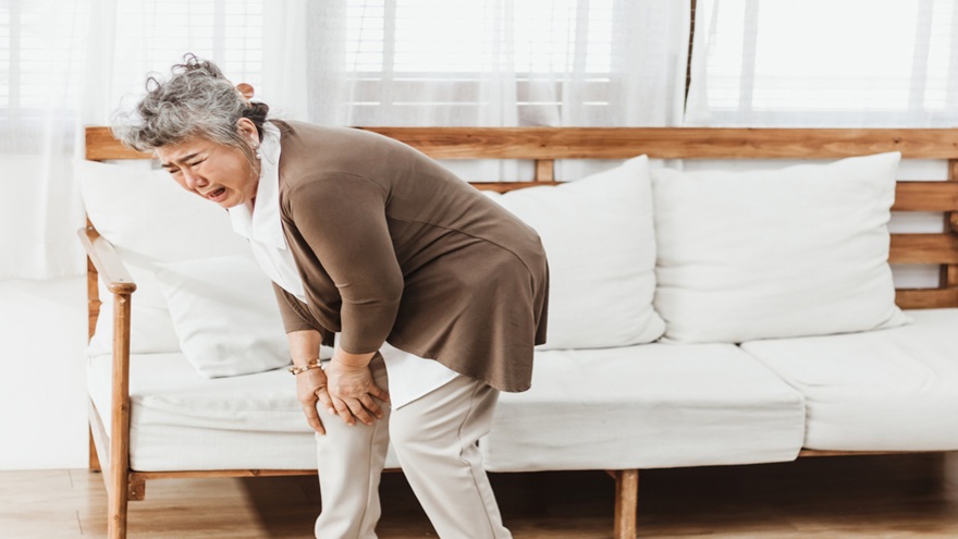 Aging Muscles