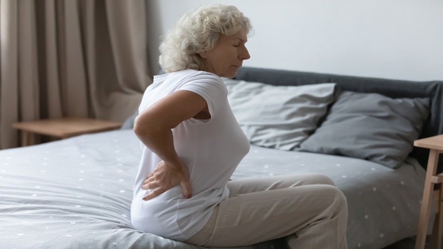 Connection Between Menopause and Bone Health