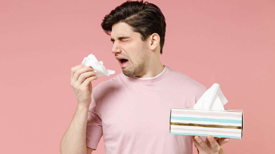 Environmental allergens