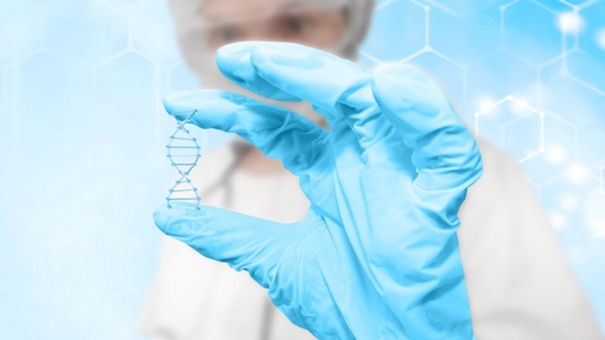 Cellular Repair