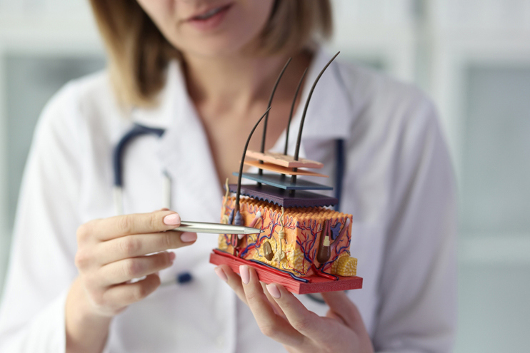 Diagnosis and Treatment for Hair Loss