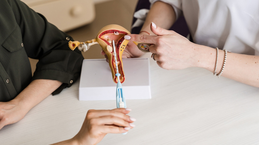 Intrauterine Contraceptive Device IUD