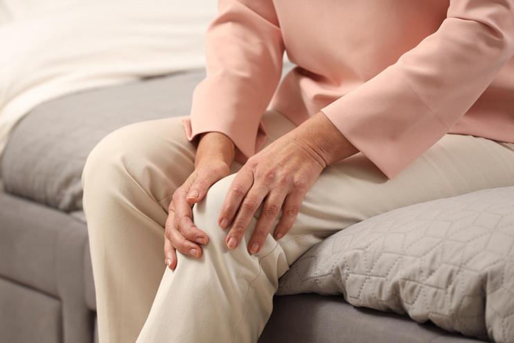 Knee Joints