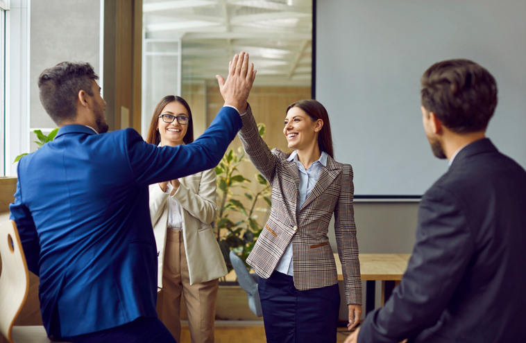 Mental Health Coaching for Professional Success