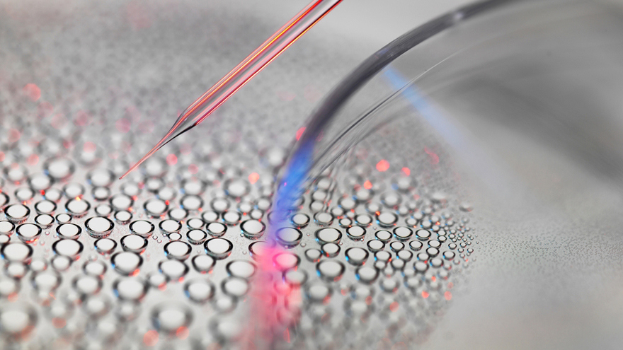 Close-up of fine laboratory instruments positioned above clear droplets on a transparent surface.