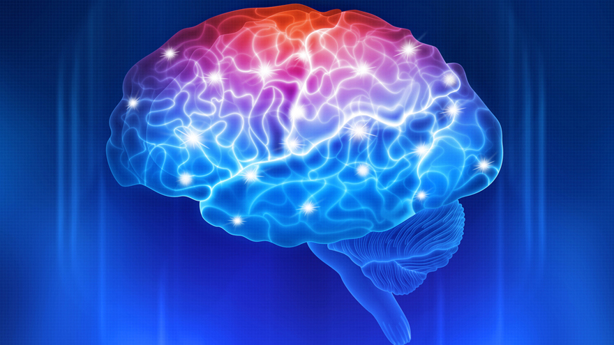 Improving Brain Structure and Connectivity