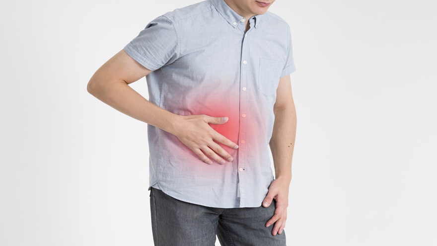 The gut‑pancreas/metabolism connection in diabetes