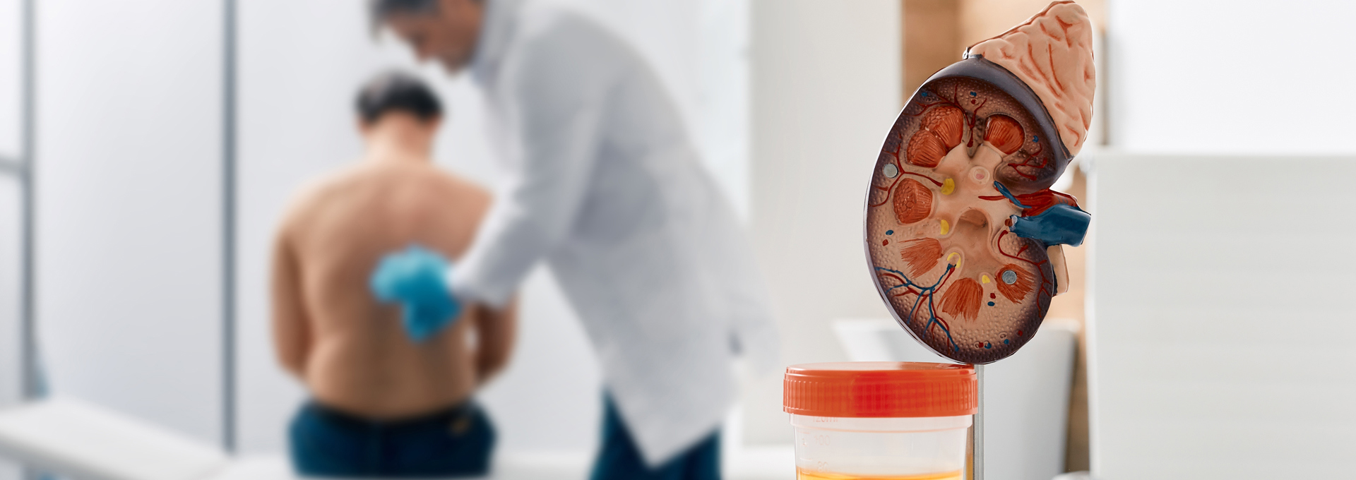 Oldindan korish bilan porno kuzatuvchi