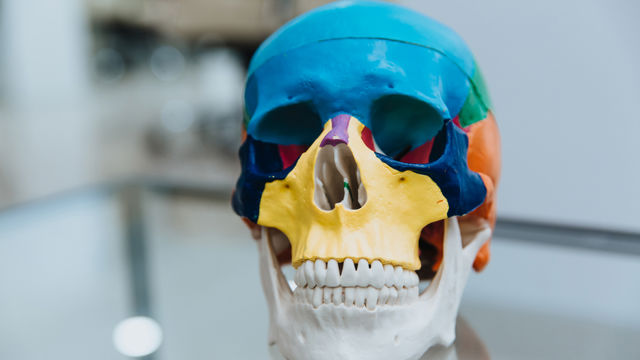 Cirugía de la base del cráneo