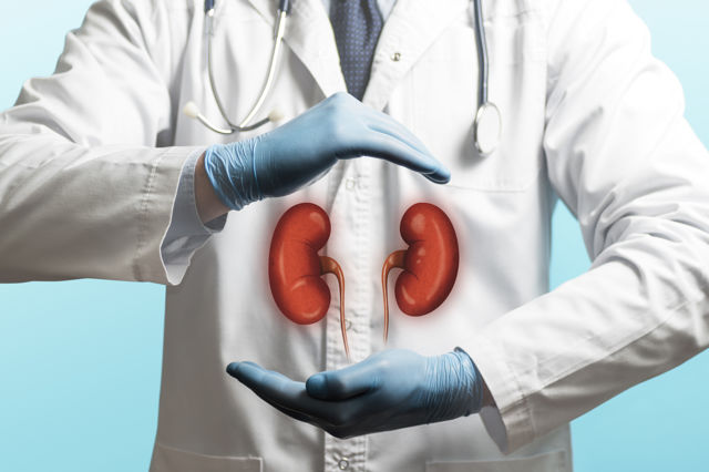Everything about kidney failure