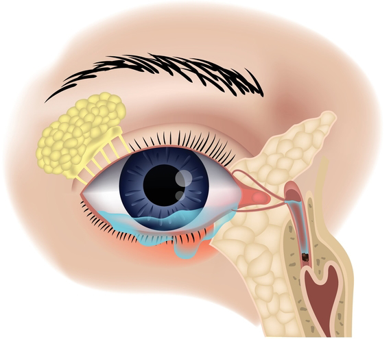 Surgery Of The Lacrimal Drainage System One Eye 4514