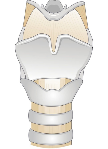 Laryngectomy