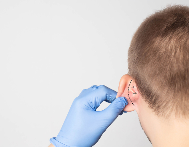 Giải phẫu cơ bản của tai