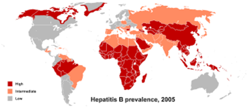 Epidemiología de la hepatitis