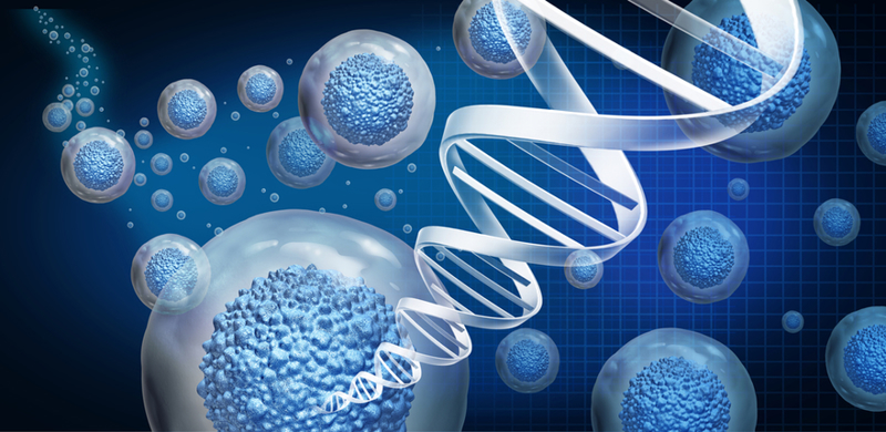 Stem cells illustration