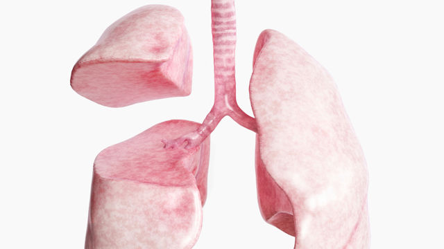 Treatment for emphysema