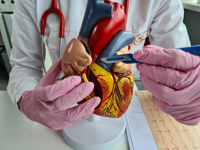 Transcatheter Aortic Valve Implantation (TAVI)