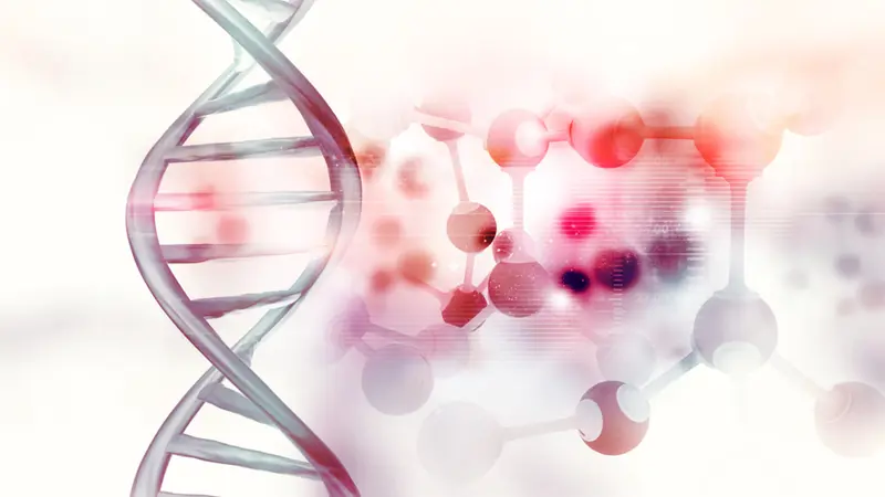 DNA Explained: Everything You Need to Know for Better Understanding