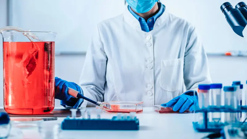 Primary Cell Culture Testing