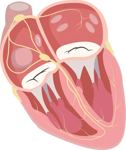 Ablation of conductive pathways