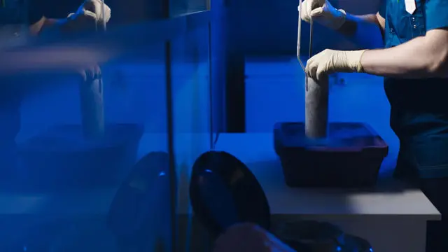 Embryo Transfer Procedure