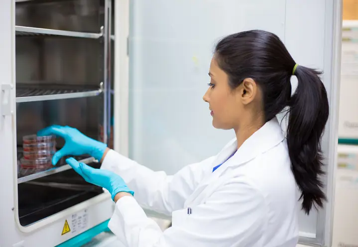Primary Cell Culture Testing