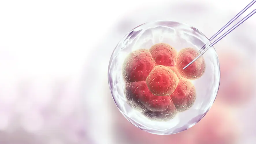 Leading the Way in Stem Cell Therapy