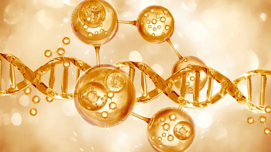 Stem Cell Therapy Works